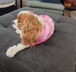 NFL Dallas Cowboys Pink Dog Jersey
